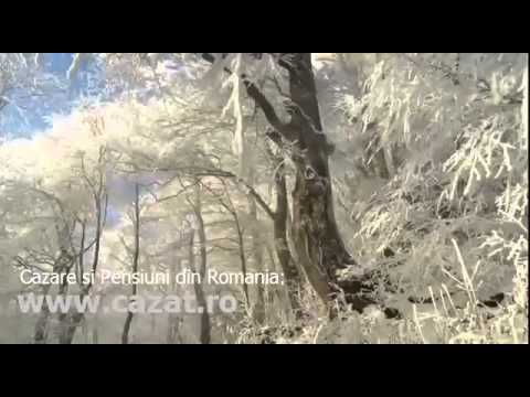 Cazare Tarculesti, Prahova - Cazat.ro