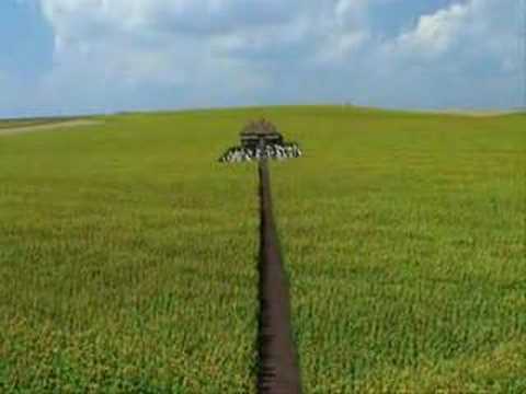 everything is illuminated