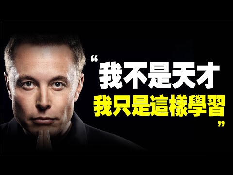 記憶的堅持分析