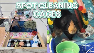 How to Spot Clean a Guinea Pig Cage With Fleece