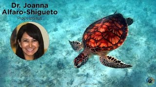 preview picture of video 'ProDelphinus (sea turtles) · Dr. Joanna Alfaro-Shigueto · Expo 2014'