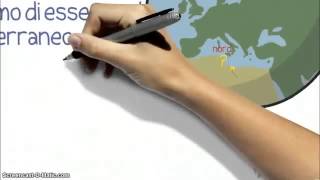 L'orientamento in geografia - 2