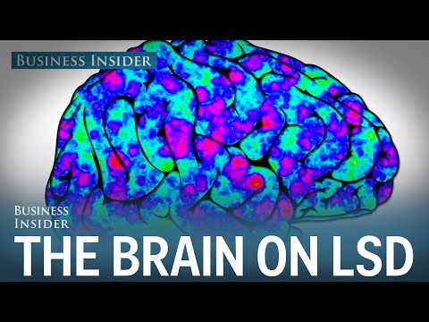 Here’s what happens to the human brain on LSD