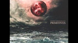PRIMITIVES - The Room Colored Charlatan