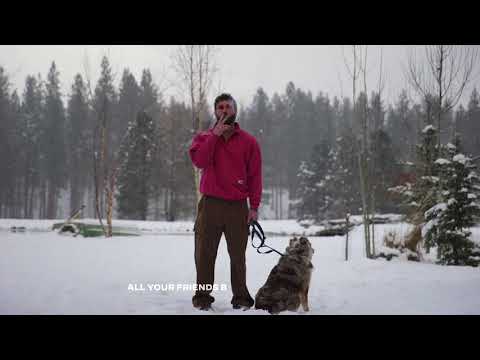 mike. - in & out (lyric video)