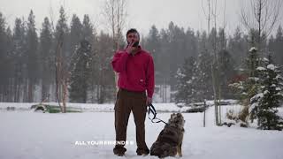 mike. - in &amp; out (lyric video)