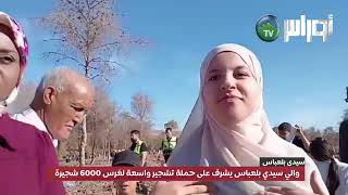 والي سيدي بلعباس يشرف على حملة تشجير واسعة لغرس 6000 شجيرة