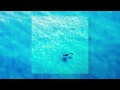 Pandora x September ; ocean atmosphere [1 hour]