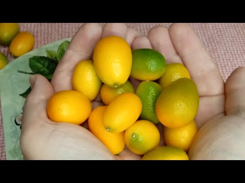 The healthiest food in the world! Prevent heart attack and stroke! Gall and kidney stones!!!