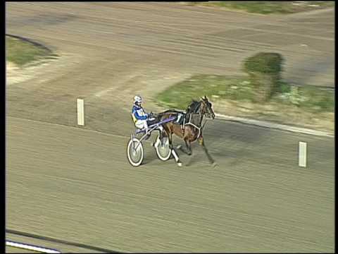 Trotto 12/03/2017 - prova di riqualifica