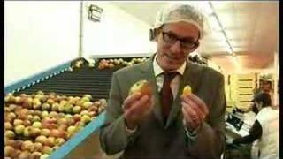 Don't Judge A Kumquat By Its Size.