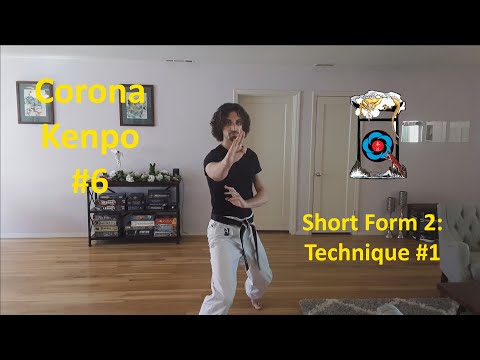 No more hand waving (Kenpo - Short Form 2: Technique #1)