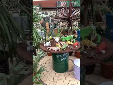 jardin-sec-plantes-gazon-arbustes-garminées