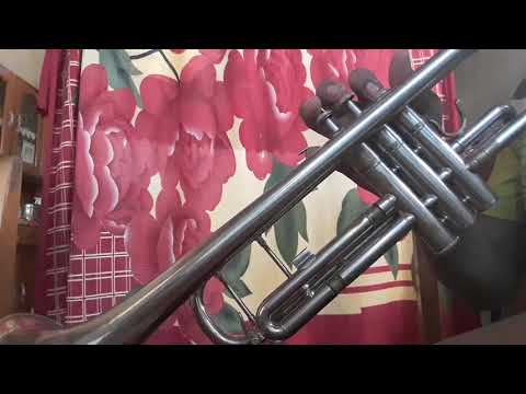 ME NIEGO OZUNA FT REIK EN TROMPETA/CON NOTAS MUSICALES😀