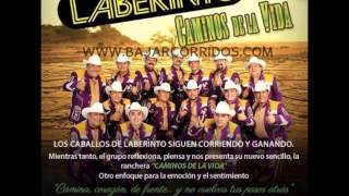 grupo laberinto el cuervo 2014