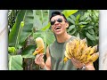 CHUỐI: Những điều bạn chưa biết - Vlog mới của Sơn Mông Lép Làng Hoa - LHworkout