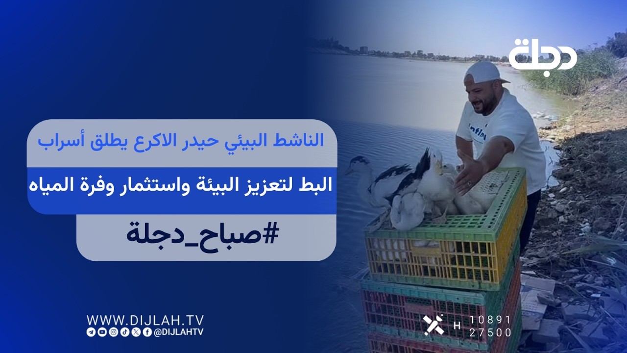 فيديو | الناشط البيئي حيدر الاكرع يطلق أسراب البط لتعزيز البيئة واستثمار وفرة المياه | صباح دجلة