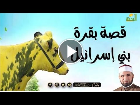 قصة بقرة بني اسرائيل | وقفات مع سورة البقرة  | مع فضيلة الشيخ أحمد الصباغ