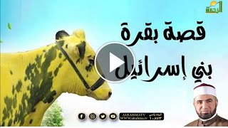 قصة بقرة بني اسرائيل | وقفات مع سورة البقرة  | مع فضيلة الشيخ أحمد الصباغ
