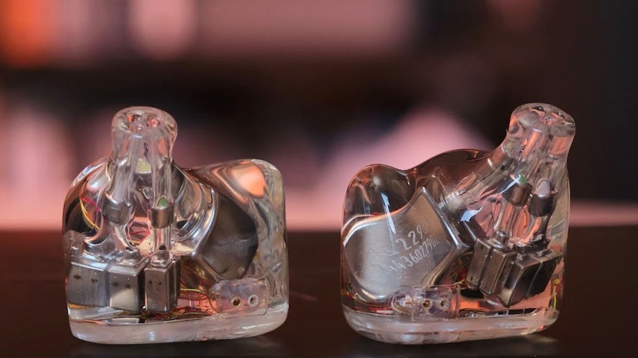 🎶 Kiwi Ears Orchestra Lite