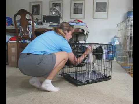 YouTube video preview