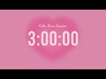 3 Hour Silent Countdown Timer Pink Aura Aesthetic Vibes For Studying Deep Focus