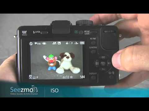 Panasonic GF1: ISO Guide