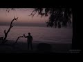 Rappalunkin Thulli Veena Vaanam Song Whatsapp Status Anarkali Malayalam Movie