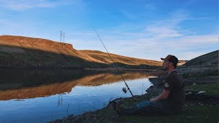 This Pond is LOADED with Trout! (Catch & Cook)