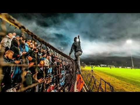 #102 Hutnik Warszawa Hooligans & Ultras