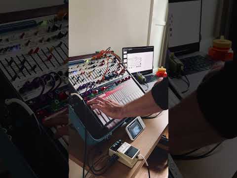 Buchla Music Easel (2023) // Nap-time Studies 001 // René G. Boscio