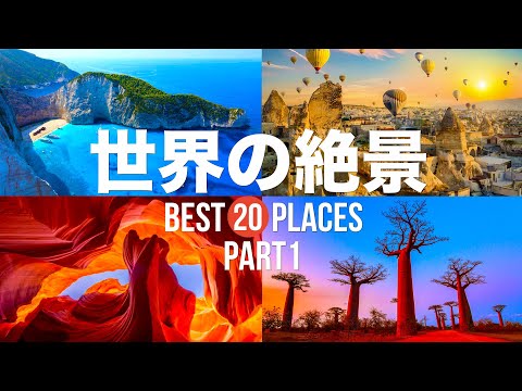 mur-végétal-intérieur-salon-ouvert-salle-manger-cuisine-design