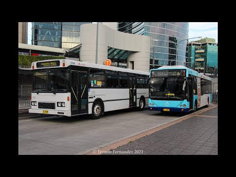 CDC NSW m/o 1480 (ZF - Custom Coaches CB60 - Volvo B10BLE)