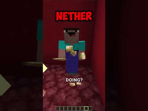 Beesechurger_73 - plains vs nether vs ocean vs end in minecraft 😱 #shorts