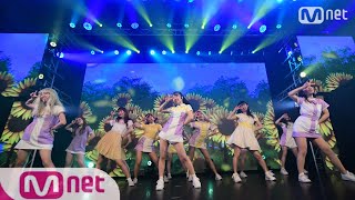 IZ*ONE(아이즈원-アイズワン)-Sunflower(Hey. Bae. Like it- 해바라기) Dance Cover【IT*sONE】