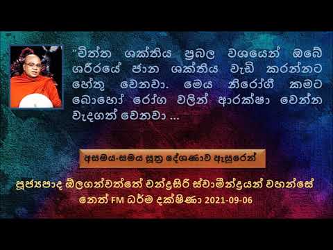 චිත්ත ශක්තිය ප්‍රබල වශයෙන් ඔබේ ශරීරයේ ජාන ශක්තිය වැඩි කරන්නට හේතු වෙනවා මෙය නිරෝගී කමට බොහෝ රෝග..