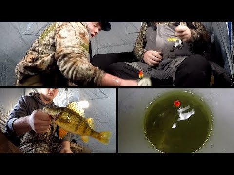 Perch Fishing Shallow Slough with Big Bonus'