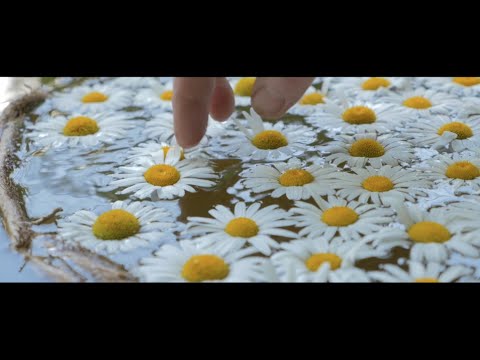 Meilleurs Voeux 2016