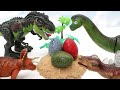 Who's Dinosaur Eggs? Jurassic World Dinosaur Born In Dinosaur Eggs Toys 공룡 알 부화 티라노