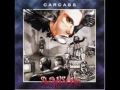 Carcass-Polarized