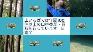 広告動画「動くグリッド」