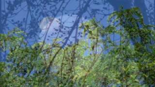 "Crazy Moon" by Curtis Stigers