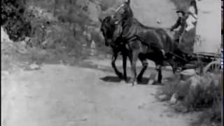 The Zulu's Heart (1908) Video