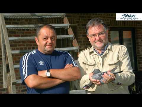 Van De Poel Yves: 1st Nat. Chateauroux old birds - fastest of 13,962b.