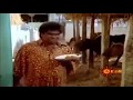 Telugu Best Comedy Mamagaru Movie