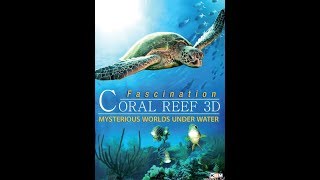Fascination Coral Reef: Mysterious Worlds Underwater (2012) Video