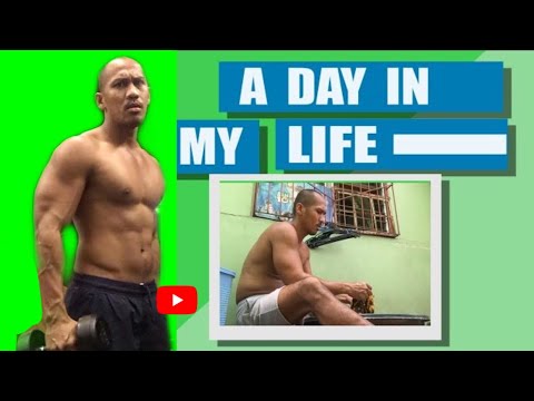 A Day in My Life | Amir Errol