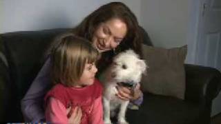 'Thrown Away' Dog Saves Little Girl's Life