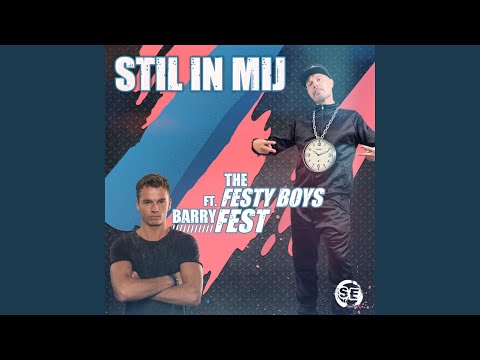 Stil in Mij (feat. The Festy Boys)