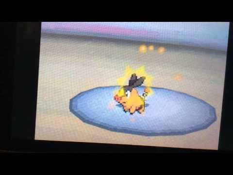 Pokemon Black Wedlocke Part 1 OSHHHHHHHHHHAAAAAAAAAA